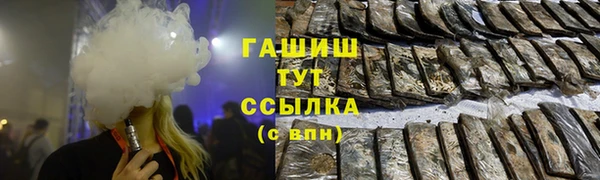 гидра Калининец