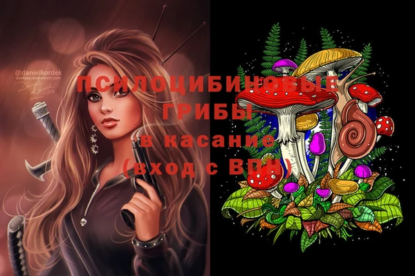 дурь Фёдоровский