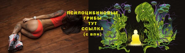 спиды Елизово