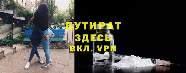 гидра Калининец