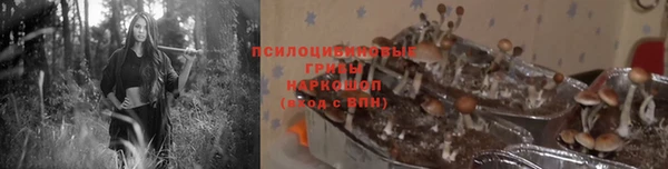 синтетический гашиш Нестеровская