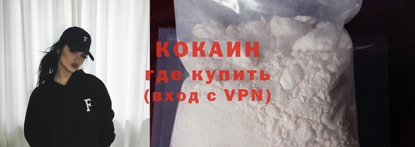 гидра Калининец
