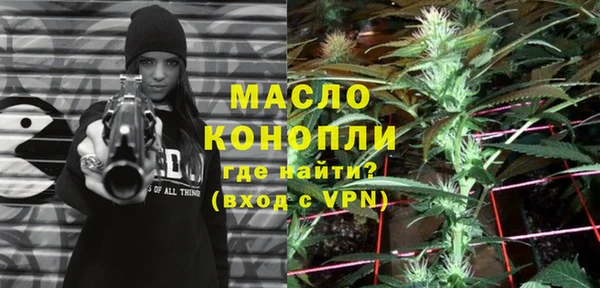 гидра Калининец