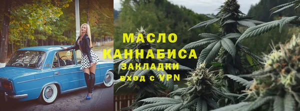 гидра Калининец