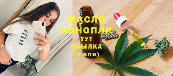 гидра Калининец