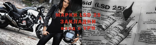 спиды Елизово